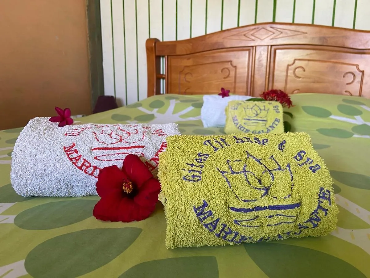 Vakantiehuis Le jardin d'Antonin Villa Capesterre Guadeloupe